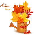 Yellow Orange fresh spring Leaves flowers in Brown watering can. Autumn Leaves Vector illustration Royalty Free Stock Photo