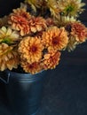 Yellow and orange garden dalia flowers in metal bucket on a dark background Royalty Free Stock Photo