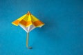 Yellow and orange handicraft paper umbrella