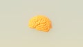 Yellow Orange Human Brain Cover Artwork Intelligence Mind Concept Warm Grey Background Side View