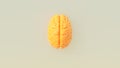 Yellow Orange Human Brain Cover Artwork Intelligence Mind Concept Warm Grey Background Top View