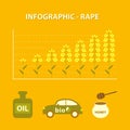 Yellow orange infographic of growing production of plant icon of oil, bio car and honey