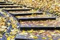 Yellow and orange leaves falled on steps Royalty Free Stock Photo