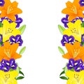 Yellow, Orange Lily and Blue Iris Flower Border on White Background. Vector Illustration Royalty Free Stock Photo