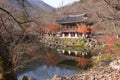 Yellow orange Maple leaf at Korea Naejangsan temple Royalty Free Stock Photo