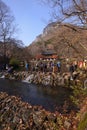 Yellow orange Maple leaf at Korea Naejangsan temple