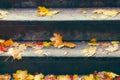 Yellow and orange maple leaves on a wooden staircase. Royalty Free Stock Photo