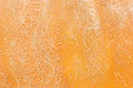 Orange pumpkin skin macro. Abstract Halloween texture background Royalty Free Stock Photo