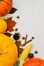 Yellow and orange pumpkins and corn with autumn decor on white wooden background for harvest fall and thanksgiving theme. cornucop Royalty Free Stock Photo