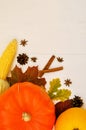 Yellow and orange pumpkins and corn with autumn decor on white wooden background for harvest fall and thanksgiving theme. cornucop Royalty Free Stock Photo