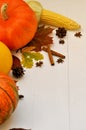 Yellow and orange pumpkins and corn with autumn decor on white wooden background for harvest fall and thanksgiving theme. cornucop Royalty Free Stock Photo