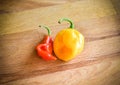 Yellow Orange and Red lantern hot ripe habanero chili pepper Royalty Free Stock Photo