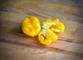 Yellow orange ripe habanero hot chili peppers on a wooden plate Royalty Free Stock Photo