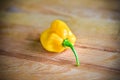 Yellow orange ripe habanero hot chili peppers on a wooden plate Royalty Free Stock Photo