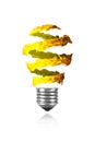 Yellow orange spiral paint trace made light bulb Royalty Free Stock Photo