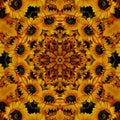 Yellow Orange Sunflower Mandala Royalty Free Stock Photo