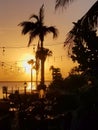 yellow and orange sunset beautiful view panorama blue sea with palm tree cloud sky of tropical beach Royalty Free Stock Photo