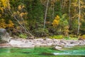 Autumn scene on riverside