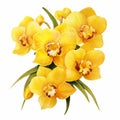 Floral Vector Bouquet: Vibrant Yellow Orchid Clipart On White Background