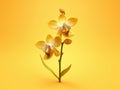 Yellow orchid on yellow background