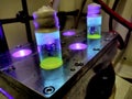 Yellow Organic photochemical rection in sealed glass vials under metal block cooling condition under UV light