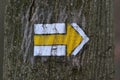 Yellow orientation sign on white arrow shaped arrow on tree bark in european forest, empty copyspace Royalty Free Stock Photo