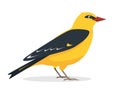 Yellow Oriole bird icon isolated on white Royalty Free Stock Photo