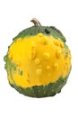 Yellow ornamental pumpkin Royalty Free Stock Photo