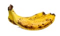 Yellow over ripe bananas