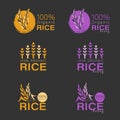 Yellow paddy rice and rice berry logo sign vector design