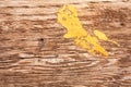 Yellow paint platter on wood Royalty Free Stock Photo