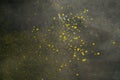 Yellow paint splattered on a cement garage floor Royalty Free Stock Photo
