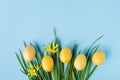 Yellow painted eggs on the green grass on a pastel blue background, Easter decor. Royalty Free Stock Photo