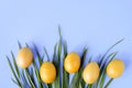 Yellow painted eggs on the green grass on a pastel lilac background, Easter decor. Royalty Free Stock Photo