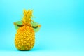 Yellow painted pineapple in sunglasses with artificial lashes. Humour, summer patry, fun concept