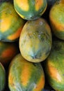 Yellow Papaya Fruit Royalty Free Stock Photo