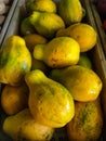 Yellow Papayas