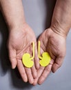 Yellow Paper kidney Symbol in Human Hands on Gray Background