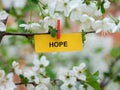 A yellow paper note with the word Hope on it attached to a branch with cherry blossoms on it with a clothes pin