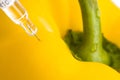 Yellow paprika and injection Royalty Free Stock Photo