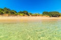 Yellow parasol in an empty beach in Sardinia Royalty Free Stock Photo