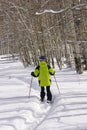 Yellow parka snow shoe hiker, on winter trail with bare aspens Royalty Free Stock Photo