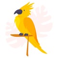 Yellow parrot. Tropical bird macaw. Exotic wild creature