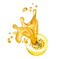 Yellow passion fruit and splash juice watercolor illustration isolated on white background. Royalty Free Stock Photo