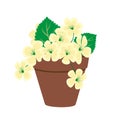 Yellow pastel flowers in a clay pot, vector, isolate on a white background