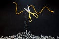 Yellow patch cord cut by scissors and connectors RJ45 , composition isolated over the black chalkboard background. Royalty Free Stock Photo