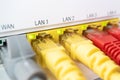 Yellow patch cords are inserted in the white router, connection with the intro