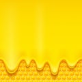 Yellow pattern with honeycomb and honey drips. Royalty Free Stock Photo