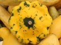 Yellow patty pan with green patches, Cucurbita pepo