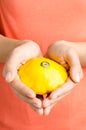 Yellow patty pan squash